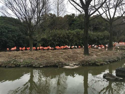 上海野生动物几点关门