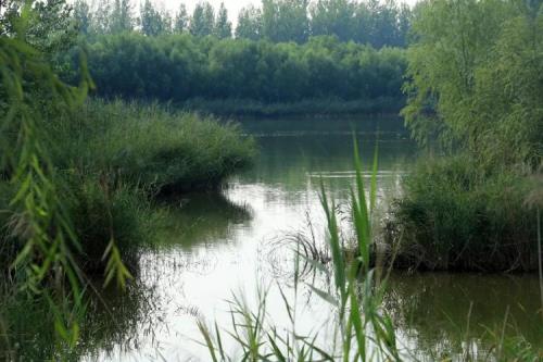 东明湿地公园要门票吗