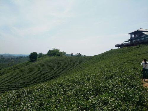 信阳茶山海拔多少米