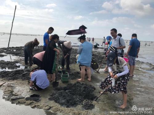 广西北海赶海，几点去最好