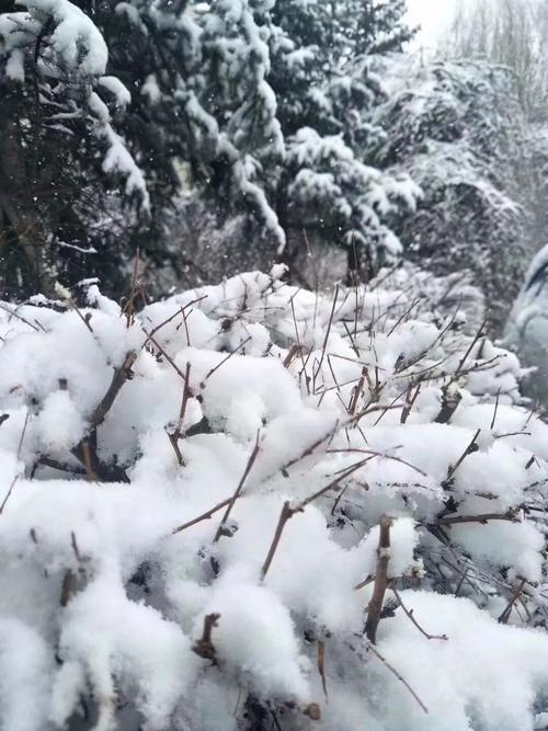 河北什么时候迎来降雪