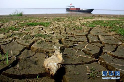 鄱阳湖干旱给当地带来的影响