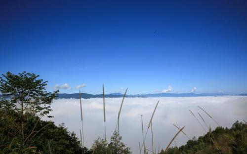 普洱西盟十大旅游景点