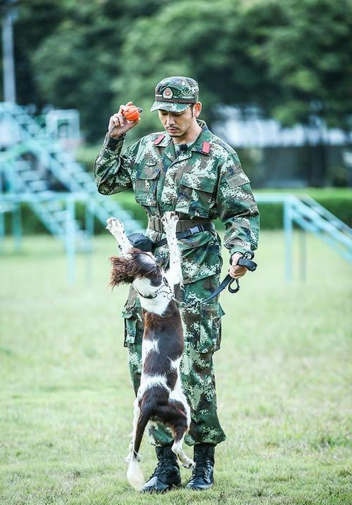 神犬奇兵小米真死还是拍戏